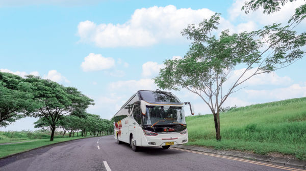 Mobirise Website Builder